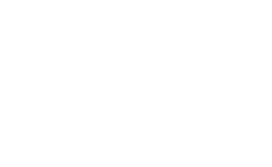 Schubert-Optik Signet
